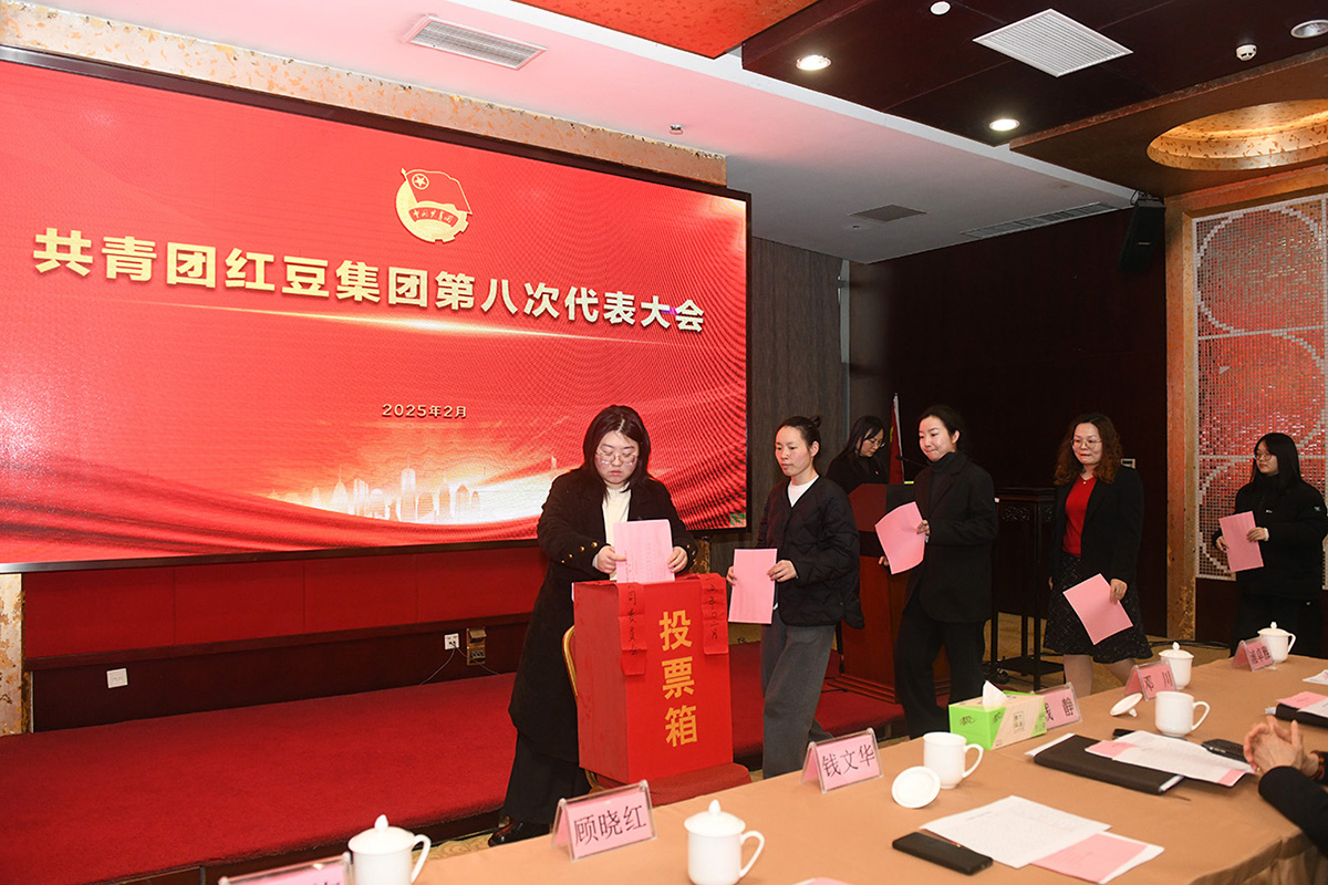 共青團(tuán)第八次代表大會2