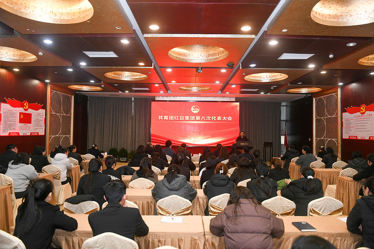 共青團(tuán)第八次代表大會1